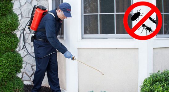 Boğazlıyan Gümüşkurt İlaçlama böcek ilaçlama ve haşere kontrolü — ilaclama-tr.com